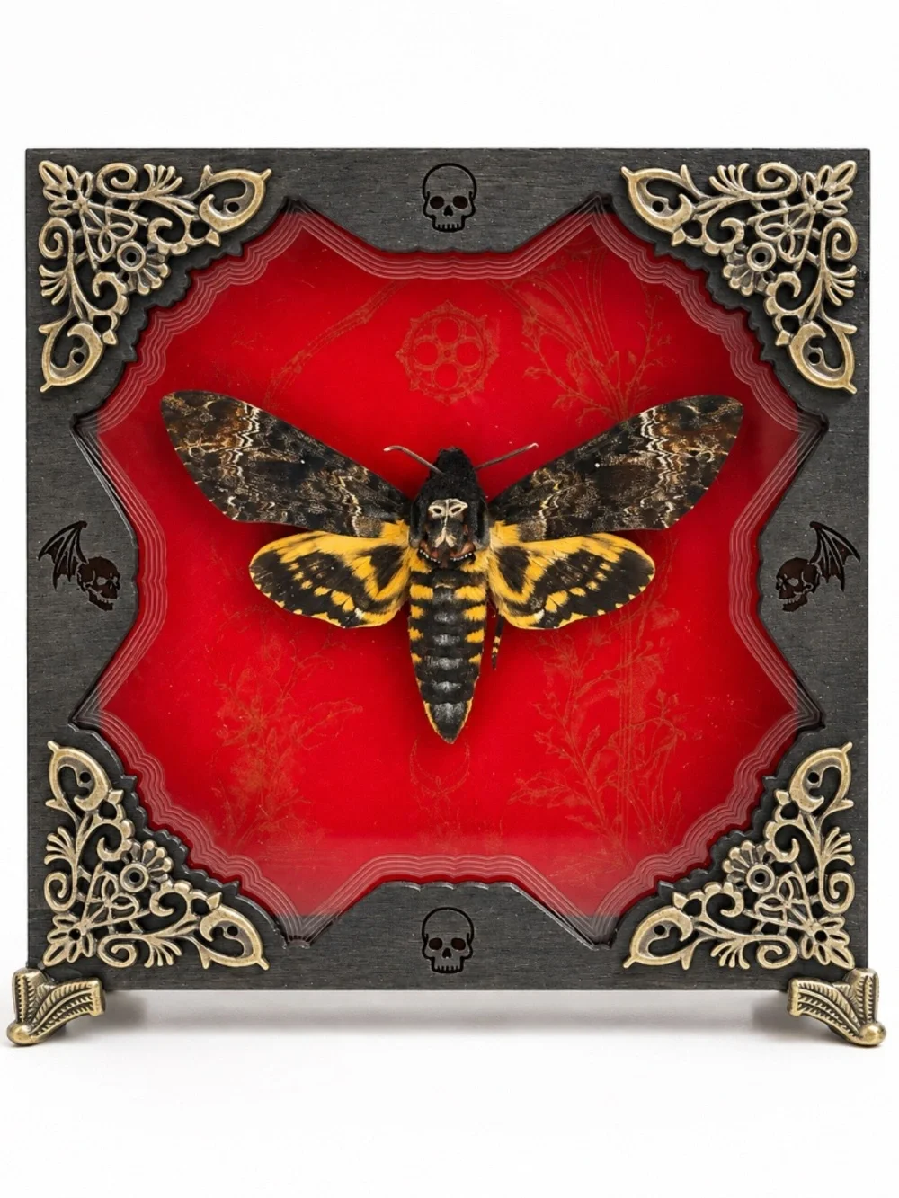 Gothic Moth Shadow Box, Preserved Specimen with Skull and Bat Details